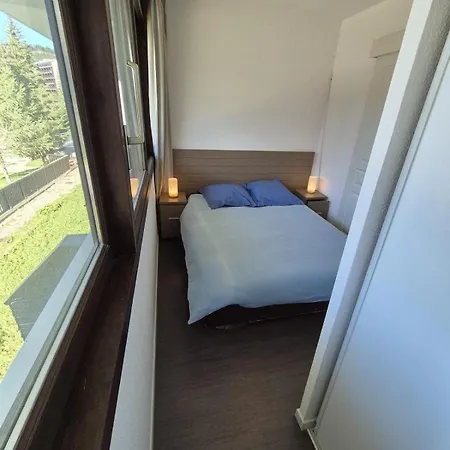 Pied Des Pistes, Piscine, Jacuzzi *